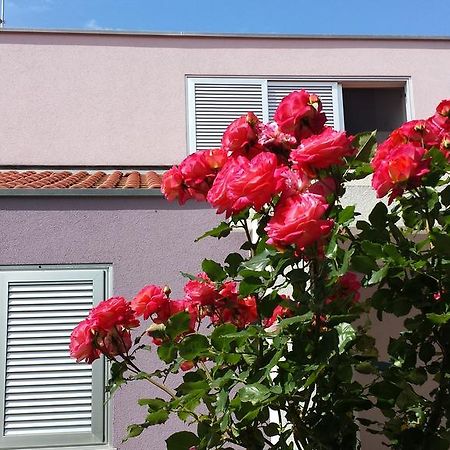Apartment Ika Zadar Cameră foto